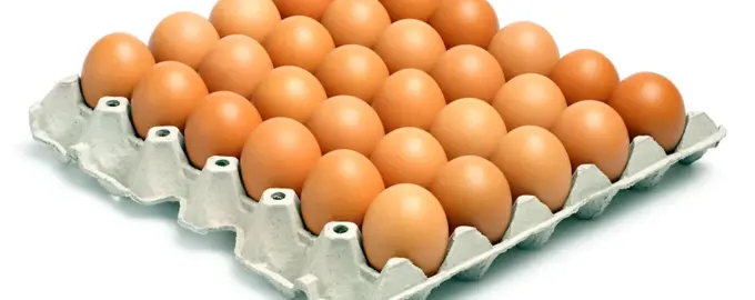 Huevos