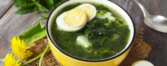 Какое растение используют для приготовления зеленых щей