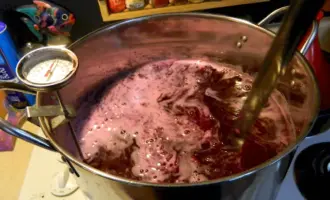 Брага из варенья