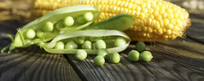 Кукурузный горошек