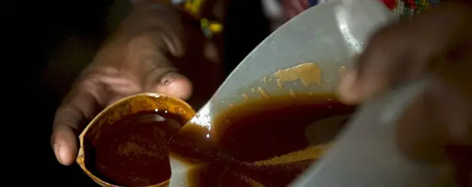 Шаманский напиток Айяуаска