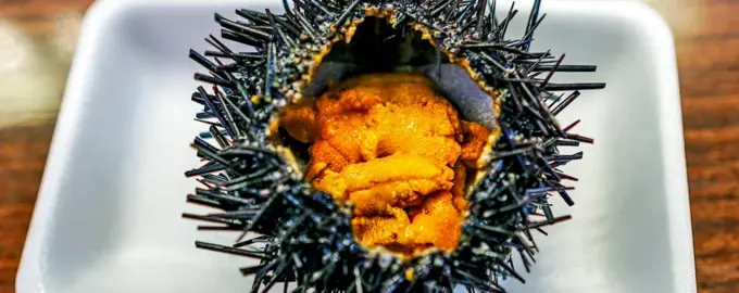 Морской еж с соусом понзу