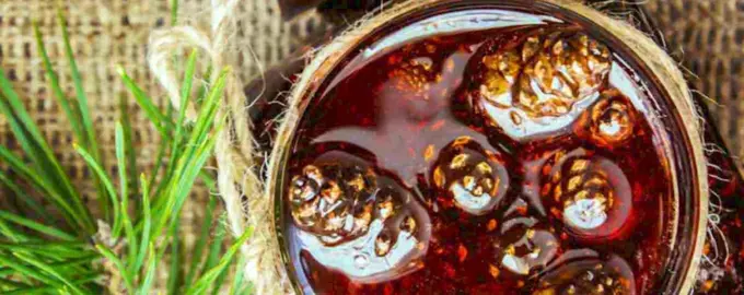 Шишки варенье из сосновых шишек
