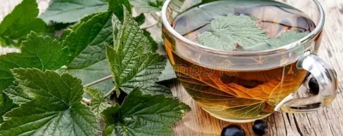 Чай с листьями черной смородины