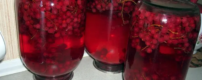 Красная смородина компот