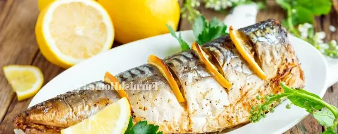 Скумбрия сибас