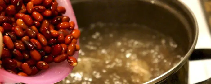 Фасоль