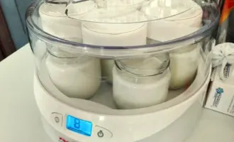 Йогуртница Мулинекс