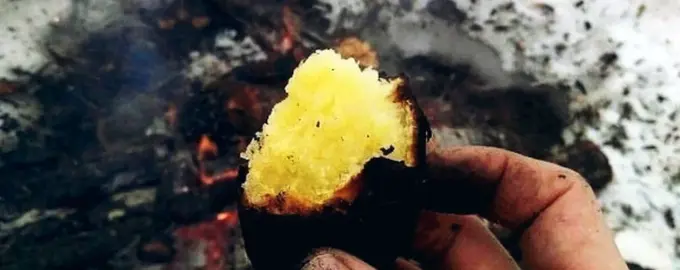 Картошка на костре