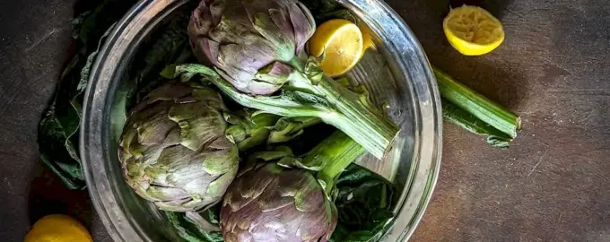 Артишок из бетона своими руками